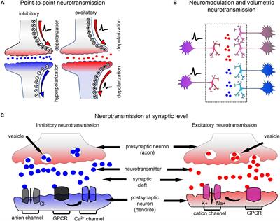 Fluorescent Biosensors for Neurotransmission and Neuromodulation: Engineering and Applications